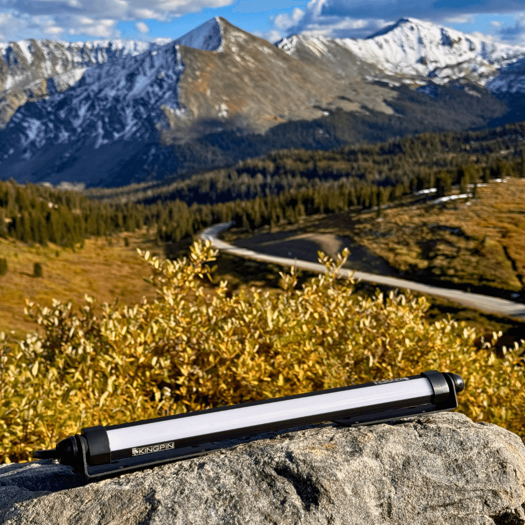 Kingpin V-Series 12" Light