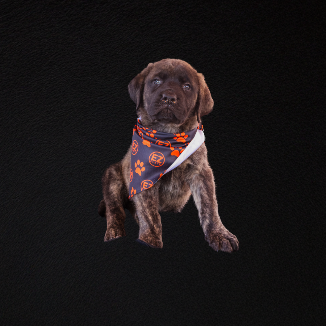 EZ Flate - Dog Bandana