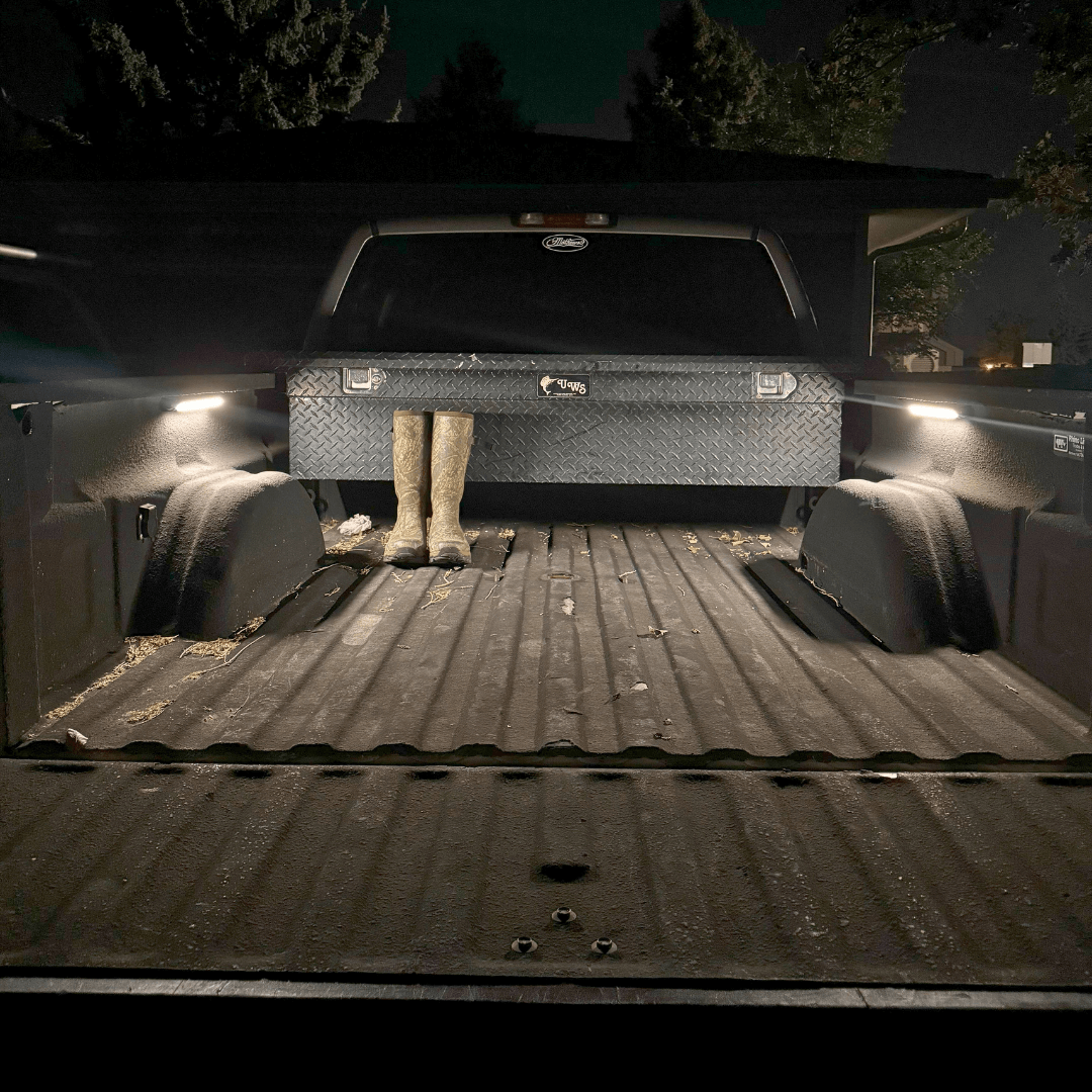 Kingpin V-Series 12" Light